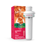 Gateway Raspberry Tea